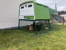 Omlet Green Eglu Cube Large Chicken Coop and Run with Chickens