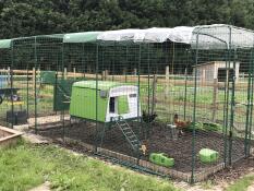 Our 8 chickens have plenty of space inside the eglu cube. Easy to clean. Safe and secure