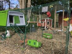 The green Eglu Cube chicken coop set up in a garden