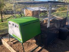 a large green cube chicken coop with a metal run attached to it