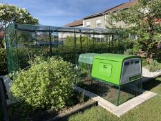 A chicken coop connected to a large walk-in run in a garden