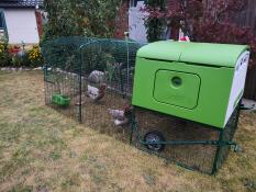 A garden with two chickens inside the run of a green Eglu Cube