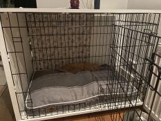 A cat sleeping in the Fido Studio dog crate.