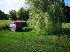 a garden with chicken fencing and a purple eglu cube