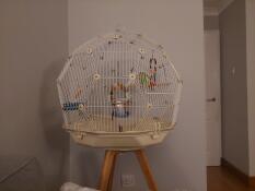 A close up of the Geo bird cage and wooden stand.
