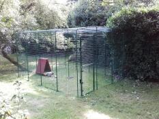 a large green walk in run setup for chickens