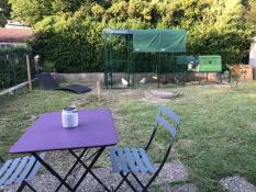 Admiring our new chicken coop.