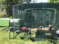 A large chicken run connected to a coop, covered