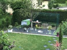 a landscaped garden with a large green cube chicken coop and a walk in run attached