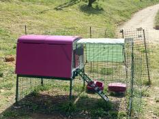 Purple Eglu Cube Large Chicken Coop and Run