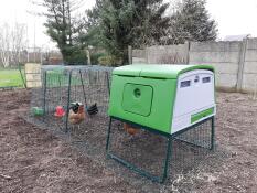 a large green cube chicken coop with a run attached and chickens inside