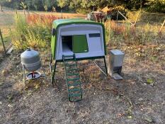 A green chicken coop in a field at sunset