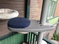 A plastic step with a blue pad on an outdoor cat tree