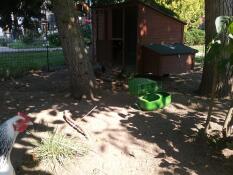 A feeder and drinker stand set up outside.