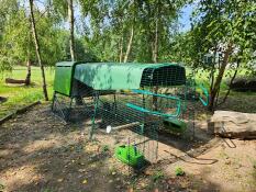 The green Eglu Cube with 3m run installed in a large garden.