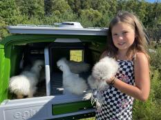 A girl holding a chicken next to the Eglu Cube chicken coop.