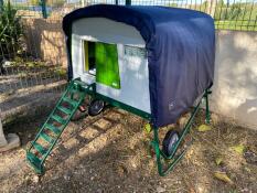 The blue extreme temperature jacket on the eglu cube chicken coop.