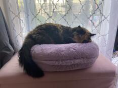 A cat sleeping in the Powder Lilac Maya Donut cat bed.