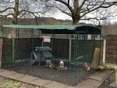 A large walk in chicken run enclosure set up in a garden.