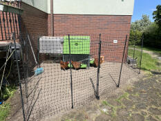 Fencing for hens Omlet