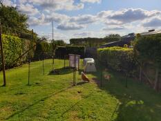 Chicken fencing in a garden, with a coop and chickens inside