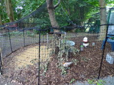 Omlet Chicken Fencing