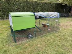 Two Omlet perches attached to the inside of the Eglu Cube run.