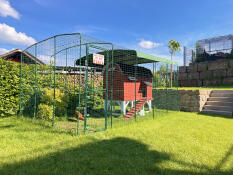 A large walk in chicken run set up in a garden.