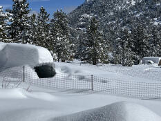 Snow covering the Omlet chicken fencing