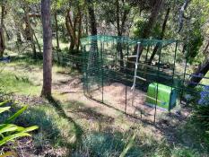 A large walk in chicken run set up in a garden.