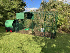 A large Omlet walk in run enclosure attached to a Nestera chicken coop.