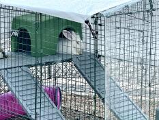 A rabbit sat on the Zippi platforms.