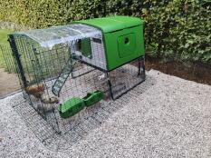 Green Eglu Cube chicken coop with 2m run set up on gravel ground.