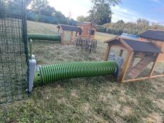 Two Zippi tunnels attached to two different hutches and runs.