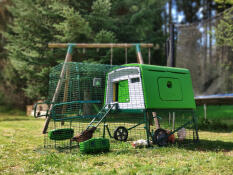 The green Eglu Cube chicken coop in a garden.