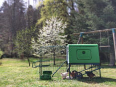 The green Eglu Cube chicken coop set up in a garden.