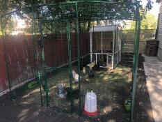 A walk in chicken run attached to a wooden coop.