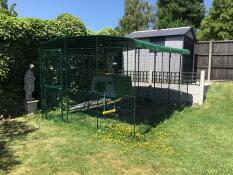 The walk in chicken run set up in a garden with an eglu cube and chicken swing inside.