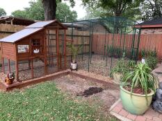 The chicken walk in run attached to a wooden chicken coop in a garden.