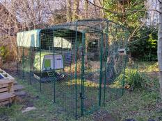 The green Eglu Cube set up in the Walk In chicken run.