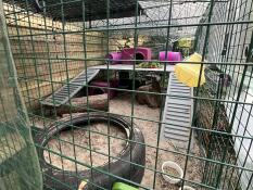 The rabbit ramp platforms attached to a rabbit run.