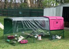 a large purple cube chicken coop with chickens inside, a run attached and covers on top