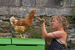 Girl interacting with her chicken stood on top of green Eglu Cube chicken coop.