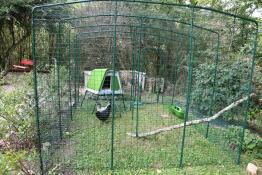 Eglu Go up in a large enclosure 4mx 3m x2m