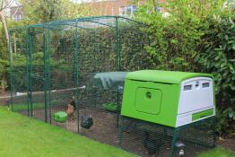 a large green eglu cube chicken coop with a walk in run attached and chickens inside