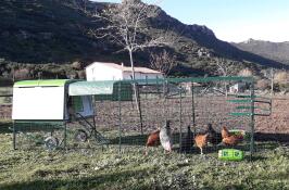 a large green cube chicken coop with a run attached and covers over the top