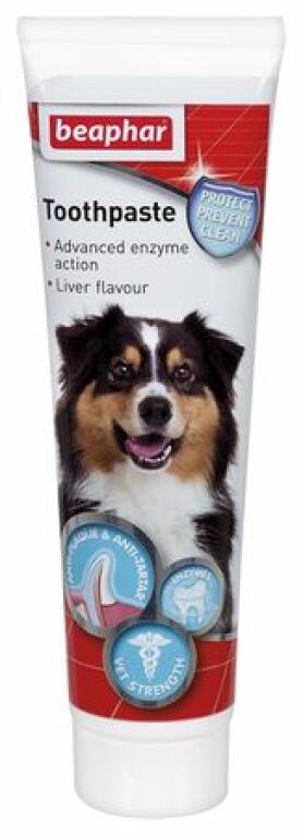 can we use normal toothpaste on dogs