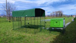 The Eglu Cube set up with a walk in chicken run in a field.