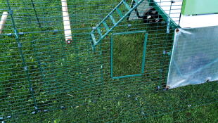 Omlet Green Eglu Go UP Raised Chicken Coop and Run