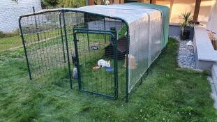 A rabbit run with some rabbits inside.